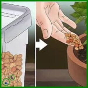 Fertilizer tablets