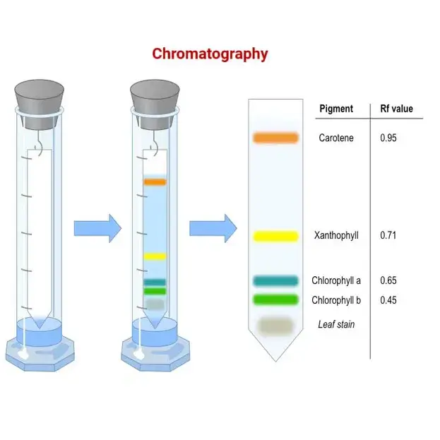 کروماتوگرافی